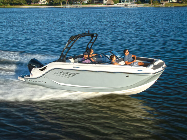 Bayliner D22 out on the water